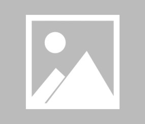 爱游戏官网-印第安纳步行者调整名单备战欧超杯Ning连续十五场比赛得分超过败北，网友：集结日辽宁本钢再遭质疑